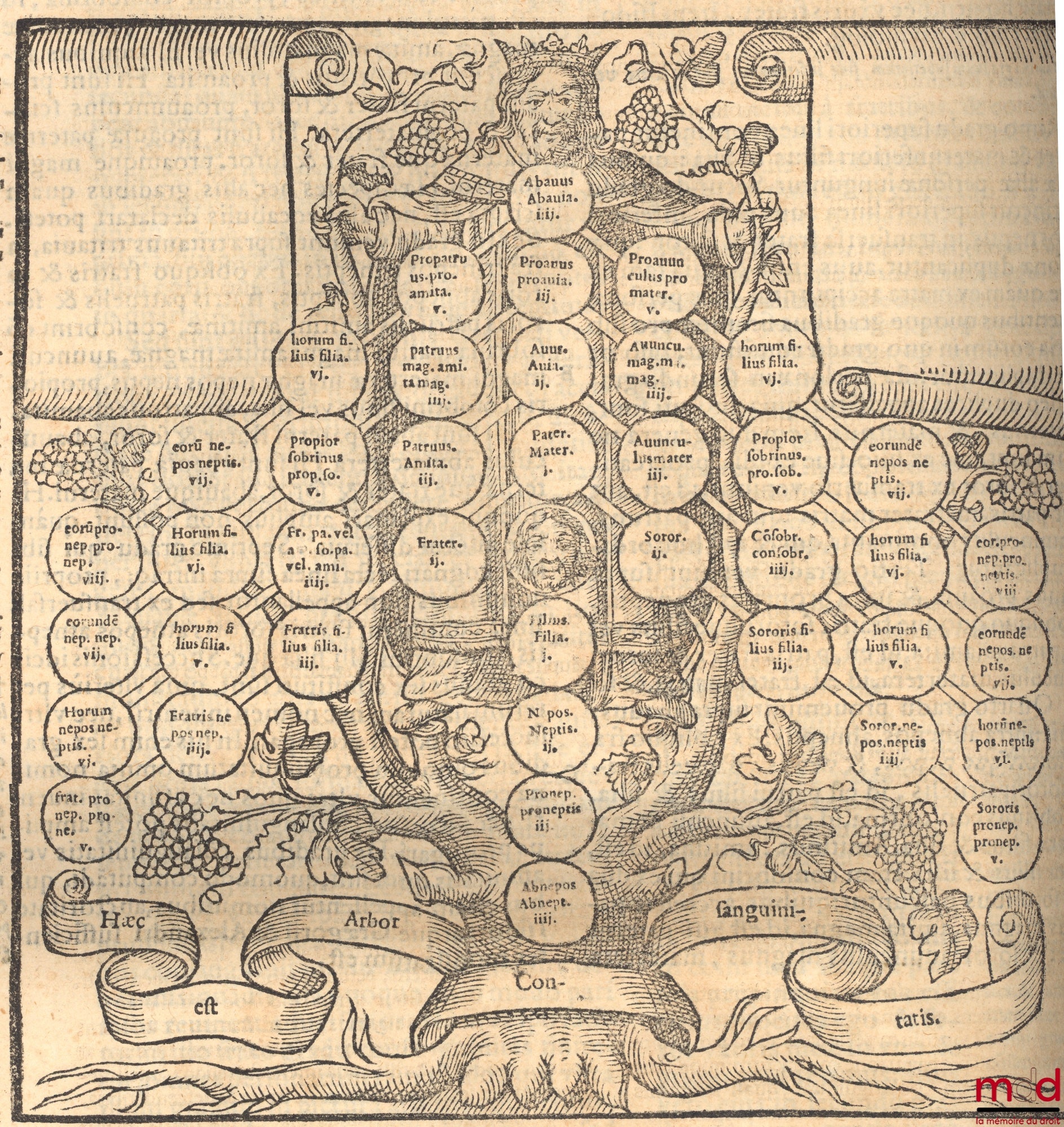 MOUCHY (Antoine de) – DECRETUM GRATIANI : seu verius, DECRETORUM CANONICORU COLLECTANEA, ab ipso auctor Gratiano primum inscripta, CONCORDIA DISCORDANTIUM CANONUM (…)in suas classes digesta (…) Præfixa sunt ab Antonio Demochare Sorbonicæ (…), singulis fer