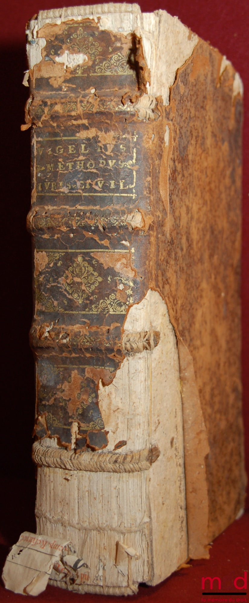 VIGEL (Nikolaus) et WINHOVIUS (Hermann) – NICOLAI VIGELII de Dreisa Hessorum Iurisconsulti METHODUS UNIVERSI IURIS CIVILIS ABSOLUTISSIMA : EX IPSUS DIGESTIS NUNC DENUO RECOGNITA, & MULTIS IN LOCIS EMENDATA : Opera et studio HERMANNI WINHOVII