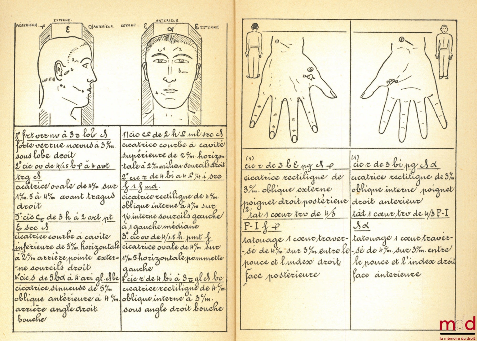 BÉROUD (Georges) – PRÉCIS DE CRIMINOLOGIE ET DE POLICE SCIENTIFIQUE, Préface de M. A. Rol, Bibl. Scientifique