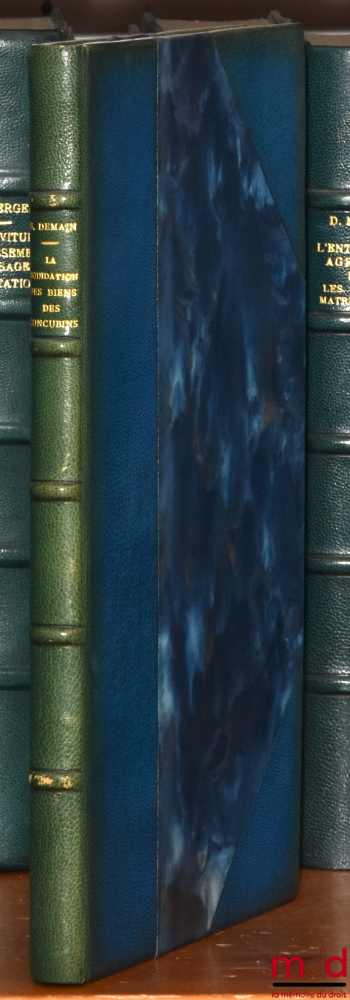 DEMAIN (Bernard) – LA LIQUIDATION DES BIENS DES CONCUBINS, Préface de Jean Carbonnier, Bibl. de droit privé, t. LXXXVI