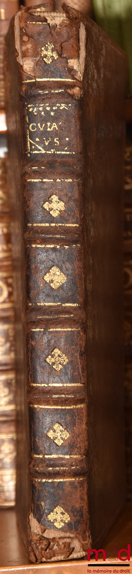 CUJACII (Jacobi) [CUJAS (Jacques)] – JACOBI CUJACII JURISCONSULTI COMMENTARII, Ex libro XLI. Digestorum, ad Titulos VIII. De Usurpationibus & usucapionibus. Notae ad IIII. Institutonum libros. Notae ad Ulpiani Titulos XXIX. Interpretationes ad Iul.Pauli R