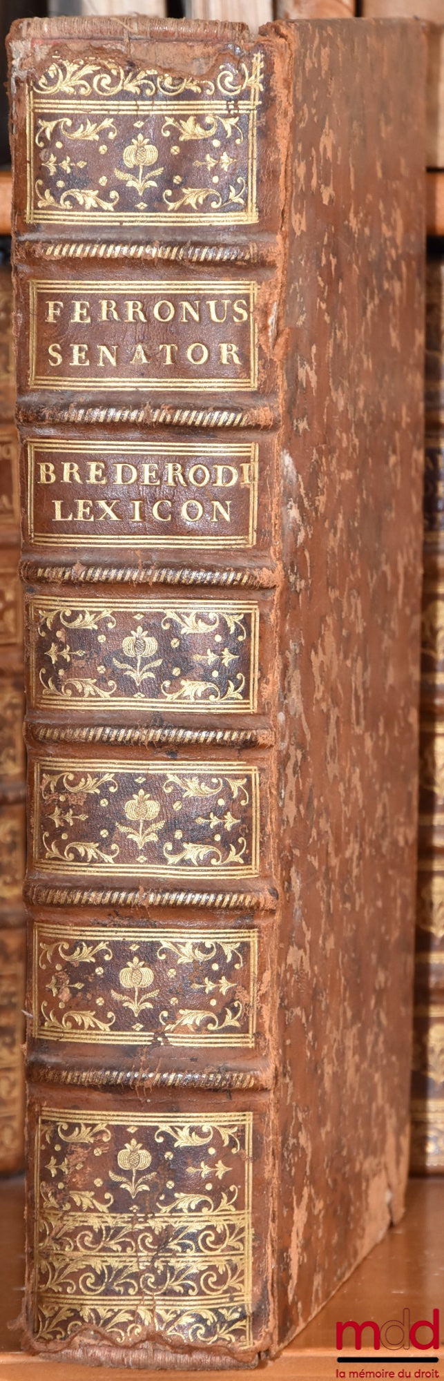 LE FERRON / LE FÉRON (Arnoul) – ARNOLDI FERRONI BURDIGALENSIS REGII CONSILIARII. IN CONSUETUDINES BURDIGALENSIUM COMMENTATIORUM, LIBRI DUO ; THESAURUS DICTIONUM ET SENTENTIARUM JURIS CIVILIS, Ex universo Juris corpore & Glossis tam veteribus, quam recenti
