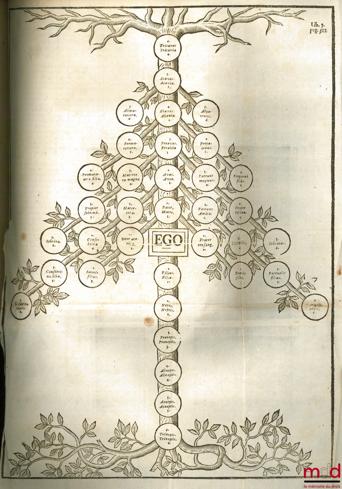 GALTIER (Daniel de) – THEOPHILUS RENOVATUS, SIVE LEVIS AC SIMPLEX VIA AD INSTITUTIONES JURIS CIVILIS. CUM DUPLICI INDICE. Prior continet principia Juris, suis auctoritatibus fulta. Alter vero est rerum notabilium, quæ in hoc opere continentur. Ed. novissi