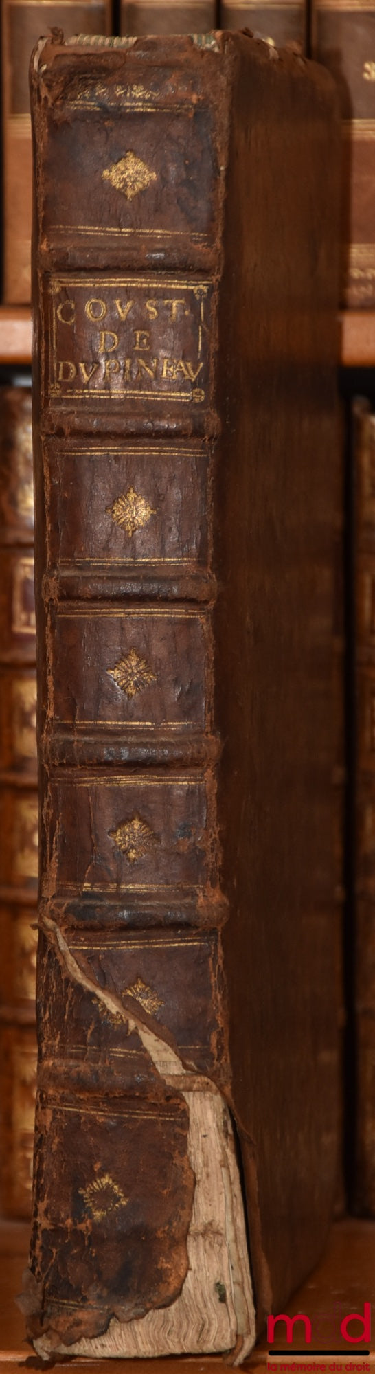 DU PINEAU (Gabriel) – OBSERVATIONS, QUESTIONS ET RESPONSES SUR AUCUNS ARTICLES DE LA COUSTUME D’ANJOU, par l’auteur, plus un recueil des Parties, Chapitres & Titres des Coustumes des autres Provinces, & des Ordonnances Royaux, rapportées à chascune des pa