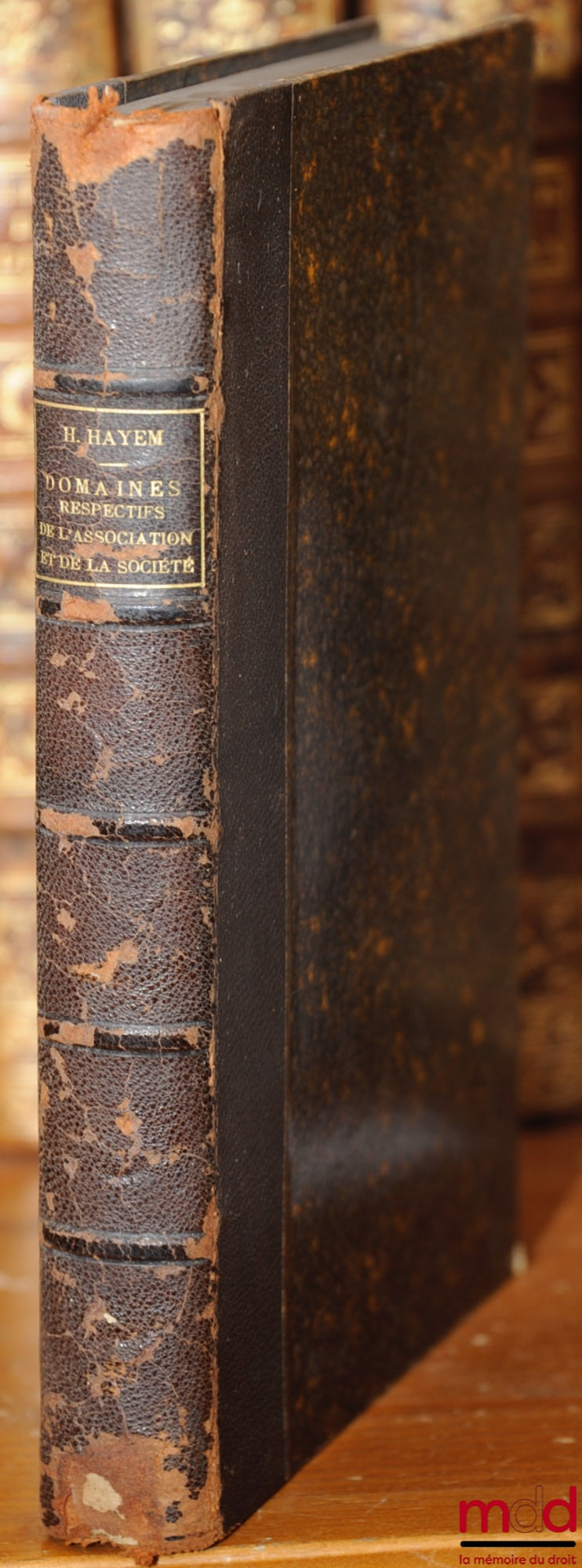 HAYEM (Henri) – RESPECTIVE AREAS OF THE ASSOCIATION & THE COMPANY