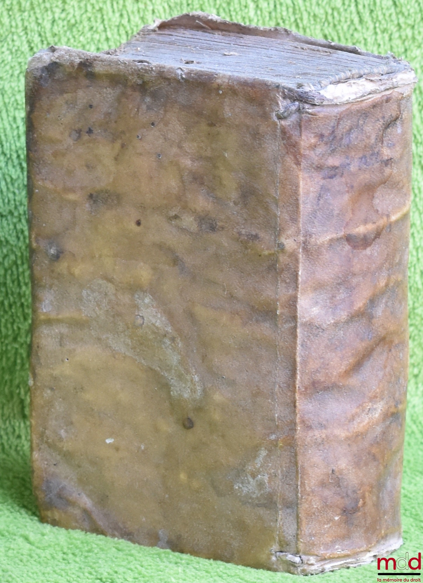 [LE CONTE (Antoine)], CONTIO (Ant.) – ANTHENTICÆ SEU NOVELLÆ CONSTITUTIONES D. JUSTINIANI SACRATISSIMI PRINCIPIS, cum veteri tralatione, Græcis nunc primùm apposita. Additis quæ hactnus desiderabantur pluribus Constitutionib. Omnia notis ac argumentis ill