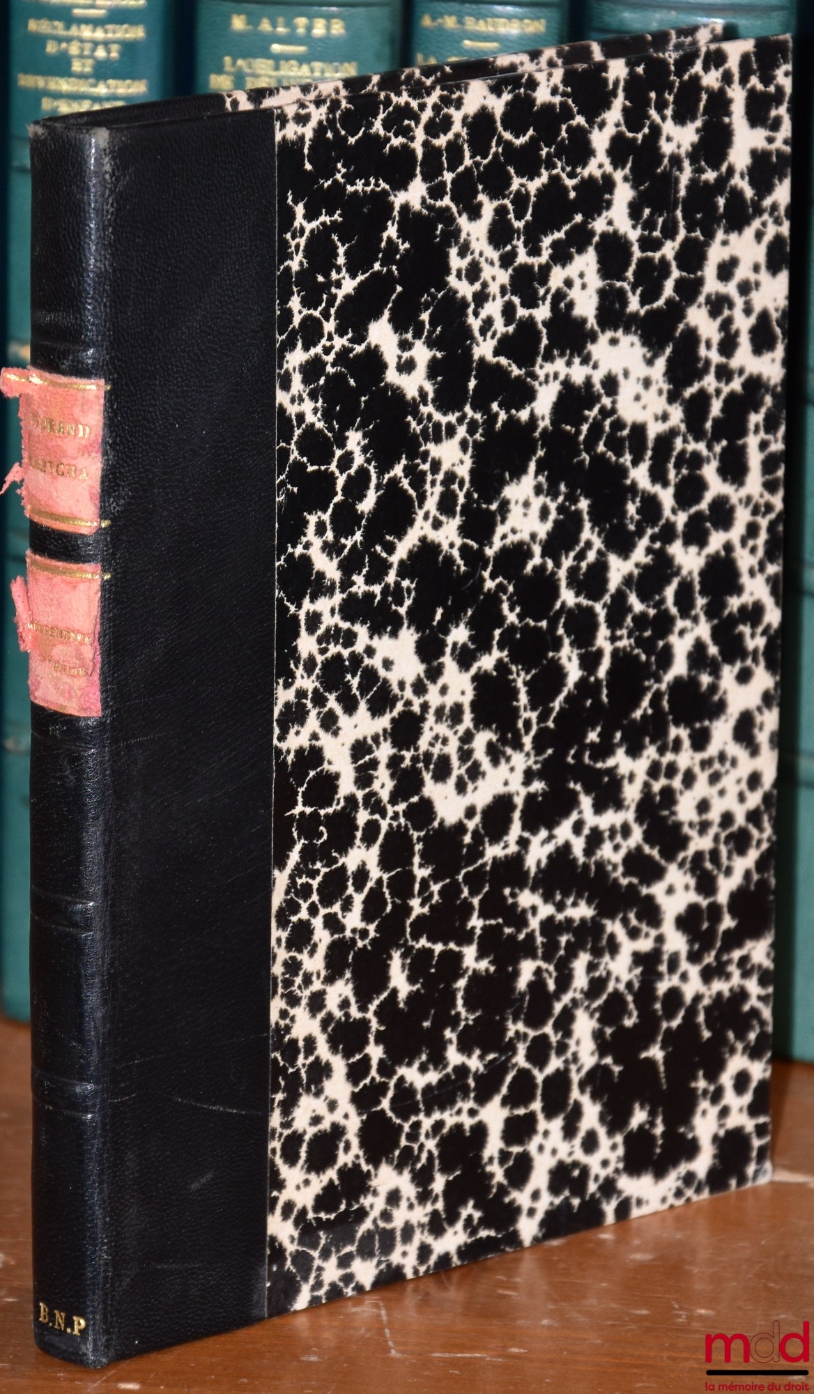 DURAND (Patrick) et LASTCHA (Jacques) – LES GROUPEMENTS D’ENTREPRISES, coll. Droit & Gestion