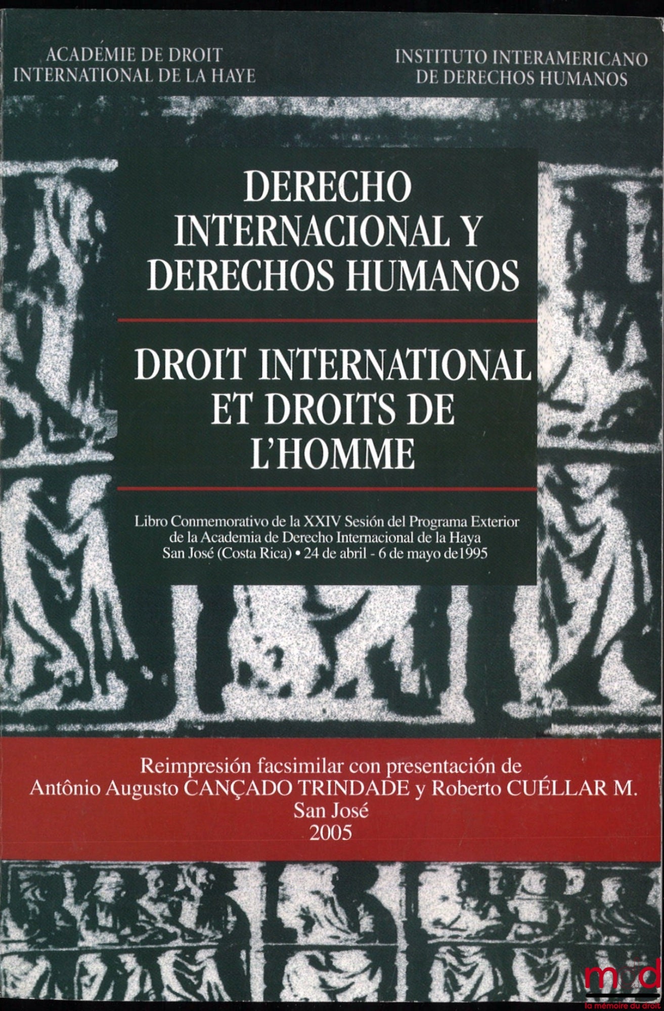 [Collectif] – DERECHO INTERNACIONAL Y DERECHOS HUMANOS / DROIT INTERNATIONAL ET DROIT DE L’HOMME, Préface de Daniel Bardonnet et Antônio Cançado Trindade