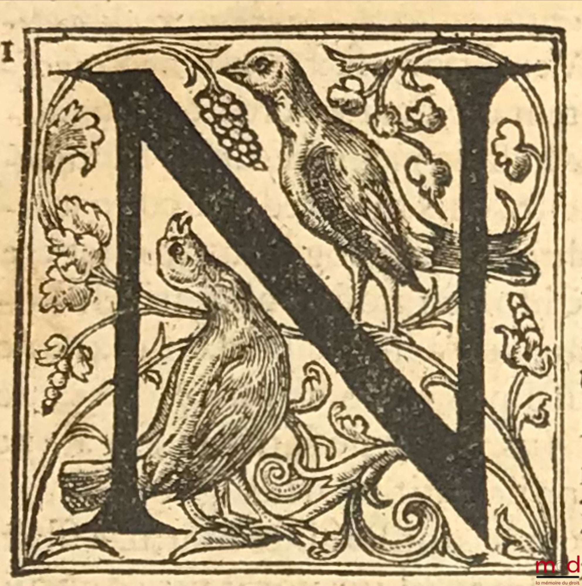 TIRAQUELLI (Andreæ) [TIRAQUEAU (André)] – REGII IN CURIA PARISIENSI SENATORIS. t. I : DIGNISSIMI, OPERA OMNIA, Quæ hactenus extant, Septem Tomis distincta : quorum hic Primus continet libros, DE NOBILITATE, ET IURE PRIMIGENIORUM, IAM DENVO RECUSA, ET A PL