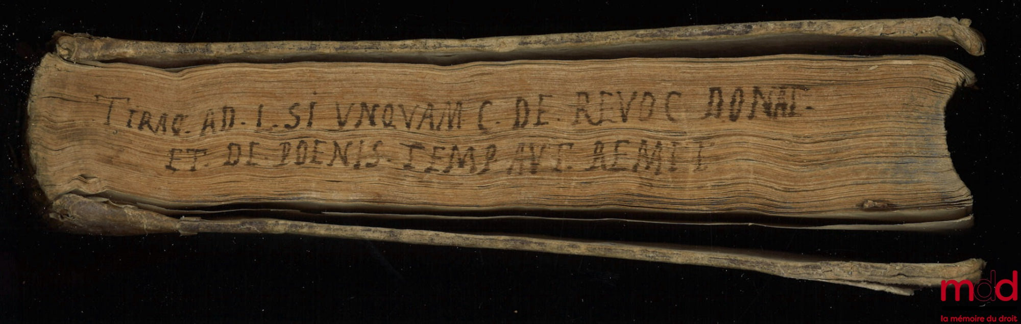 TIRAQUELLI (Andreæ) [TIRAQUEAU (André)] – REGII IN CURIA PARISIENSI SENATORIS. t. I : DIGNISSIMI, OPERA OMNIA, Quæ hactenus extant, Septem Tomis distincta : quorum hic Primus continet libros, DE NOBILITATE, ET IURE PRIMIGENIORUM, IAM DENVO RECUSA, ET A PL