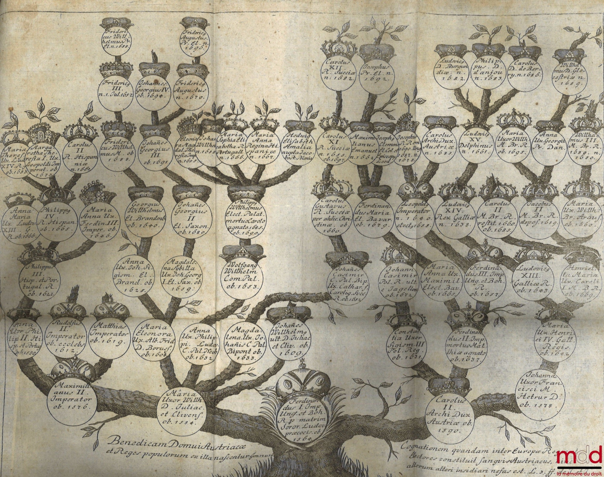 STRYKIO (Samuele) [STRYK (Samuel)] – TRACTATUS DE SUCCESSIONE AB INTESTATO, In quo Non tantum Ordinaria in Allodiis & Feudis succedendi ratio, sed & Extraordinariæ illæ Successiones Prætoriæ, Statutariæ, Fideicommissariæ, Pactitiæ omnis generis, subjuncta