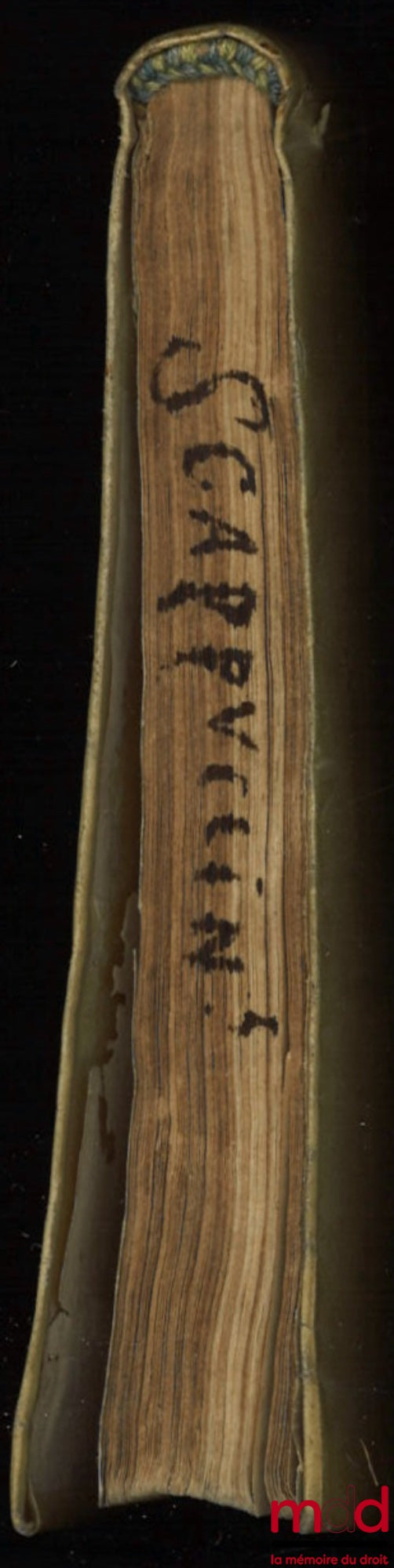 SCAPUCCINO (Bartholomæo) [Scapuccini (Bartolomeo)] – TRACTATUS DE SUCCESSORE SINGULARI, An, & quando teneatur stare coloniæ, vel locationi, ad materiam I. emptorem, C. locati, Per Ampliationes, & Limitationes diuisus, atque distinctus. Summoperè in Foro v