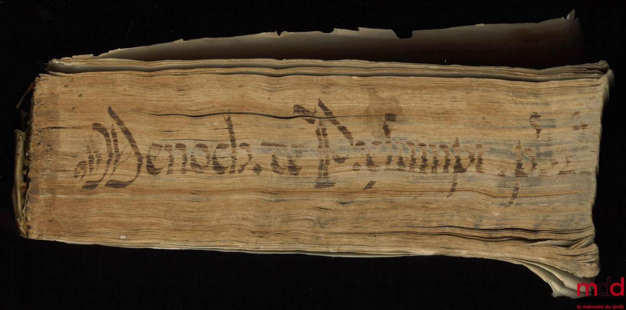 MENOCHII (Iacobi) [MENOCHIO (Giacomo)] – t. I : Iacobi Menochii iuriscons. Papiensis, regii ducalisque senatoris, Ac redituum extraordinariorum Regiæ Maiestatis Catholicæ, Præsidis Mediolanensis, divini atque humani iuris scientia peritissimi. De Præsumpt