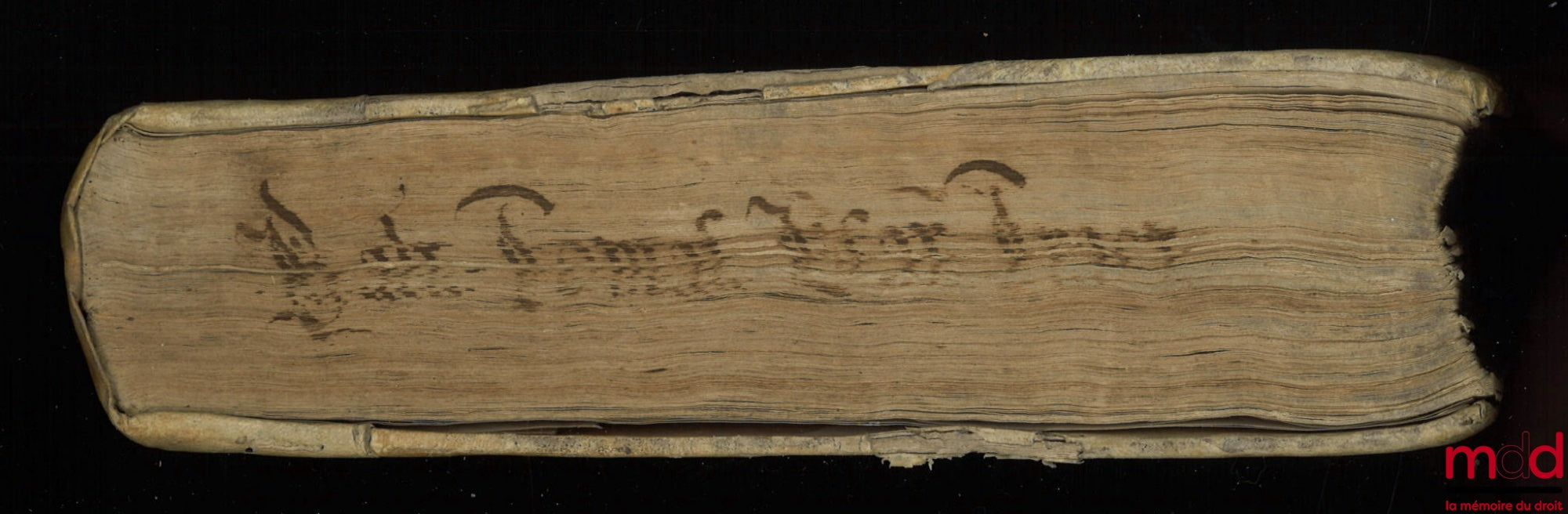 TOMASII (Balthaxaris) [TOMASIUS (Balthaxar)] – I.C. LUCENSIS PRÆCLARISSIMI DECAS TRACTATUS CONTINENS INFRASCRIPTOS. Personarum statum, nec non ultimarum voluntatum materiam complectentes. Videlicet : De legitimatione, cum Tractatu Clausularum Incapacibus.