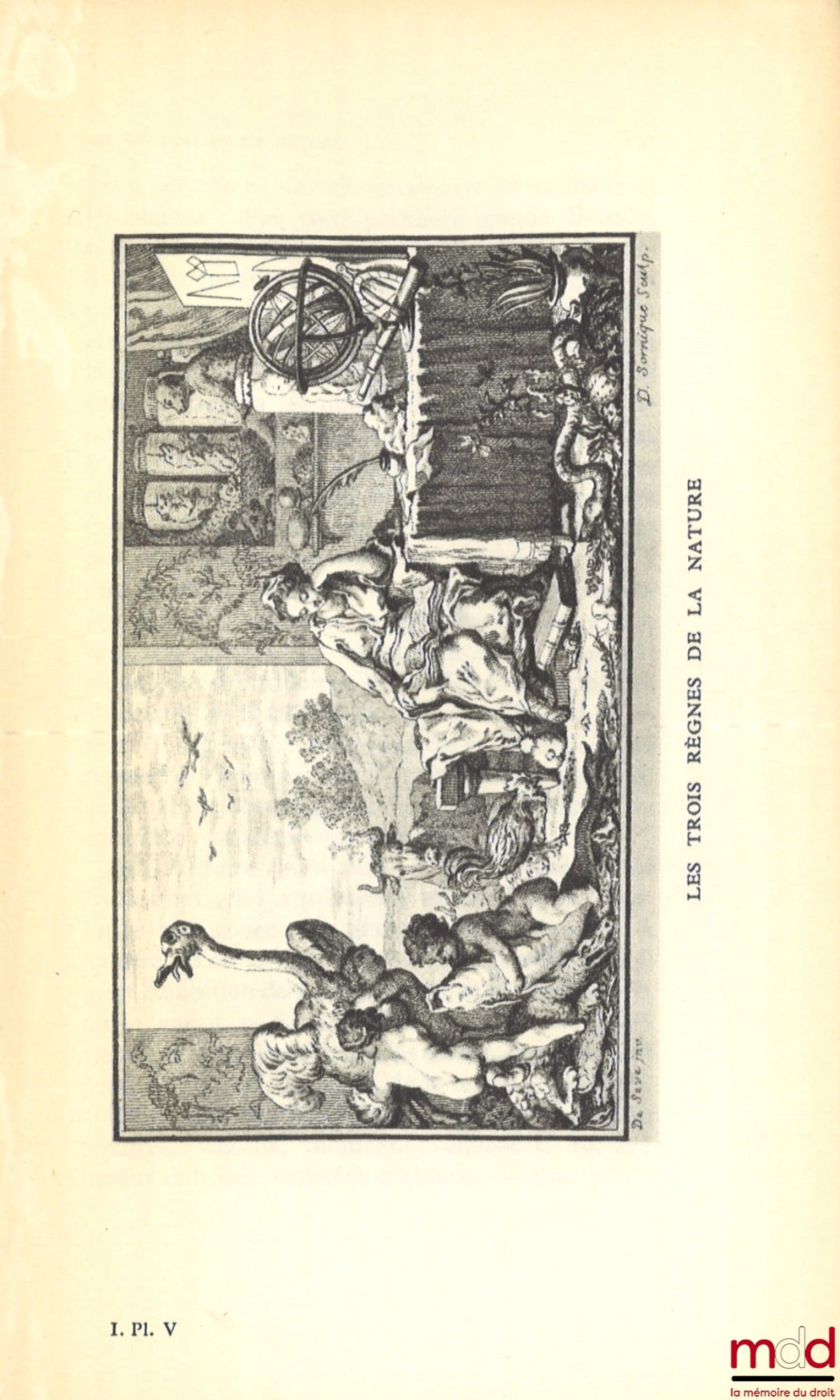 HAZARD (Paul) – LA PENSÉE EUROPÉENNE AU XVIIIe SIÈCLE, De Montesquieu à Lessing, [mq. t. III : Notes et références]