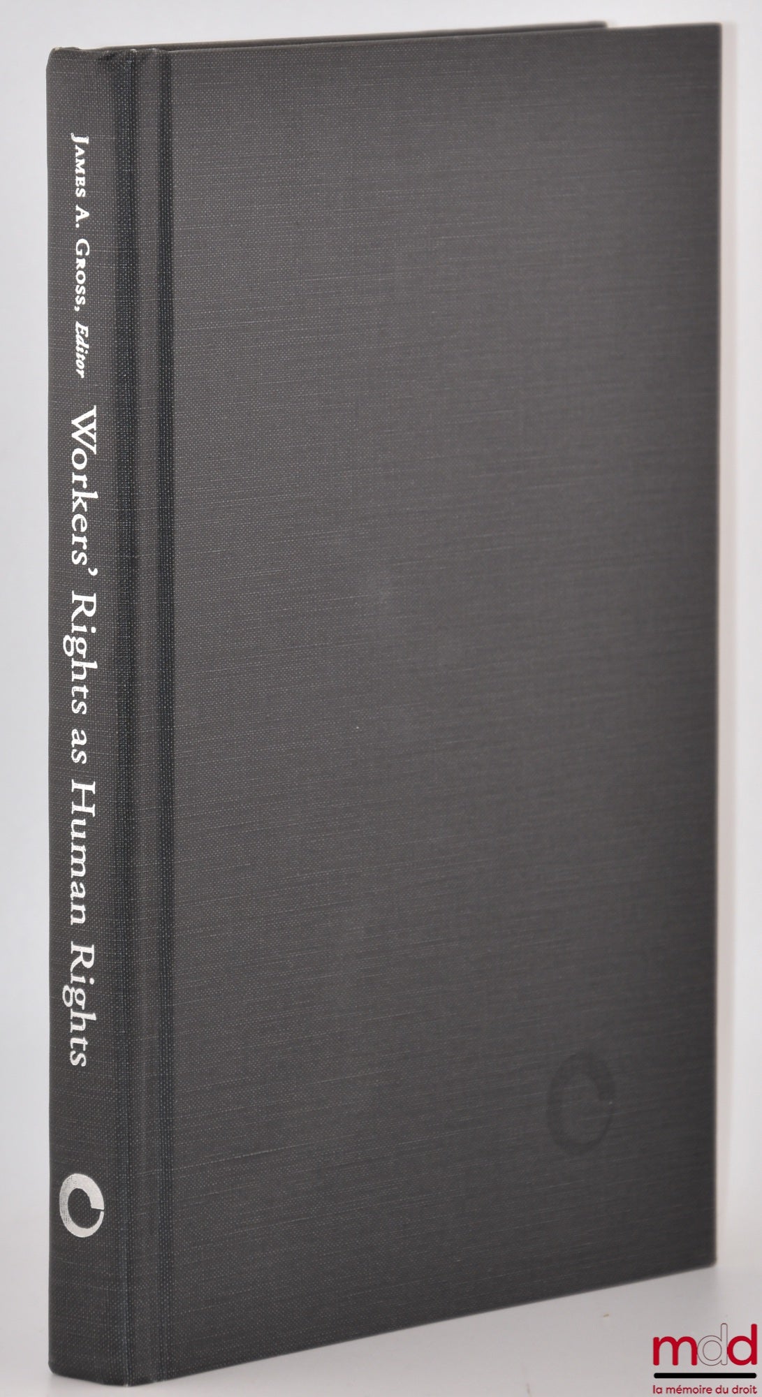 [Collectif] – WORKERS’ RIGHTS AS HUMAN RIGHTS, Edited by James A. Gross