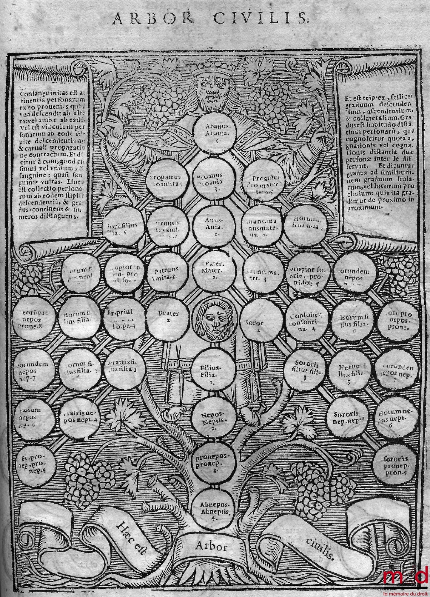 [Coutumes], CHASSENEUZ (Barthélemy) – CONSUETUDINES DUCATUS BURGUNDIÆ, FEREQUE TOTIUS GALLIÆ : COMMENTARIIS, ultima editio